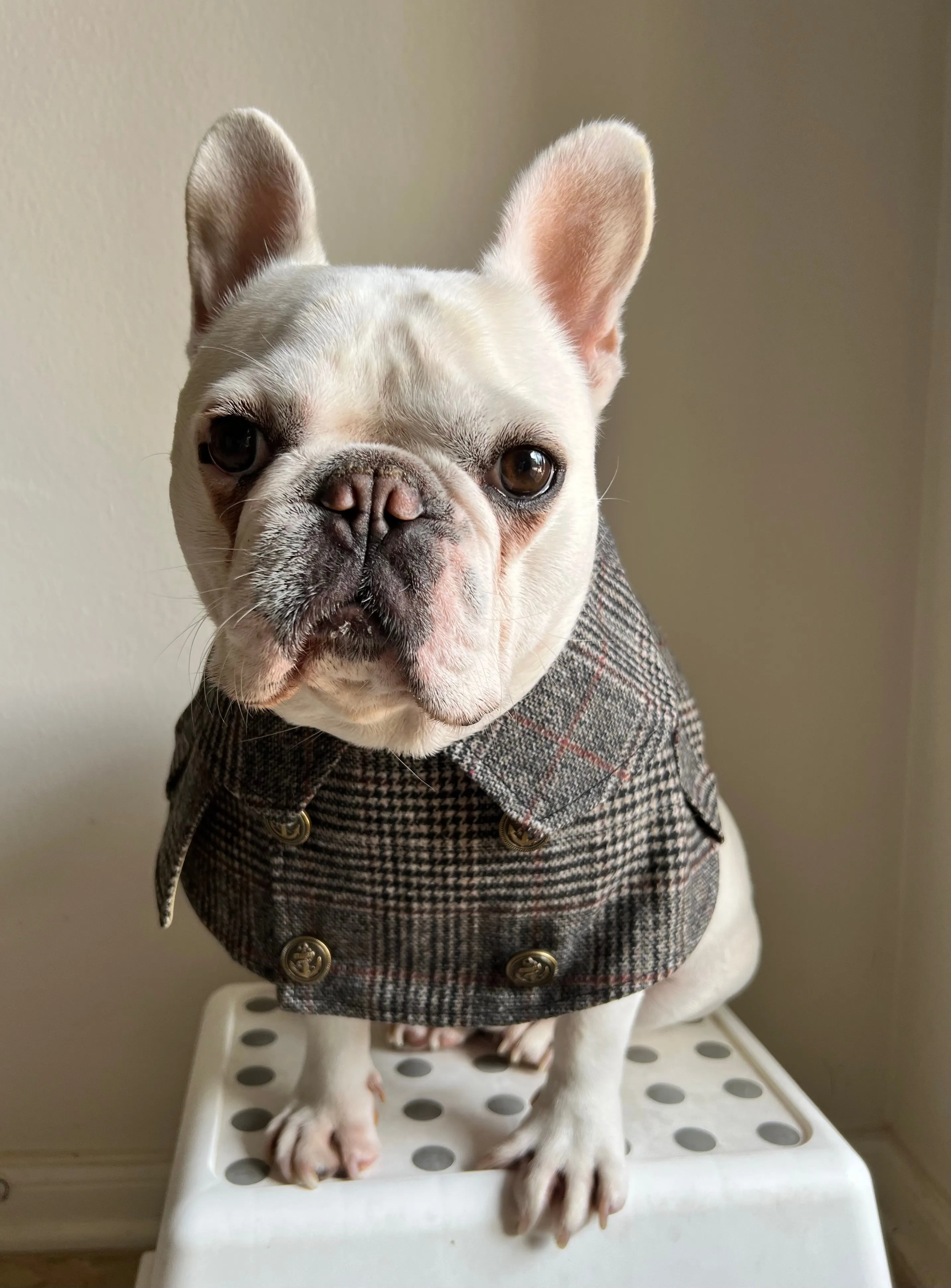 Detective Inverness Cape Bandana Bib